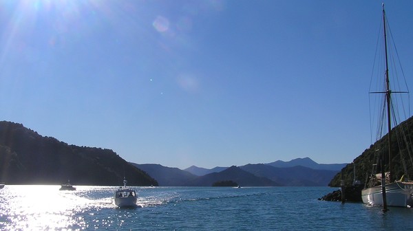 A view from Picton Harbour